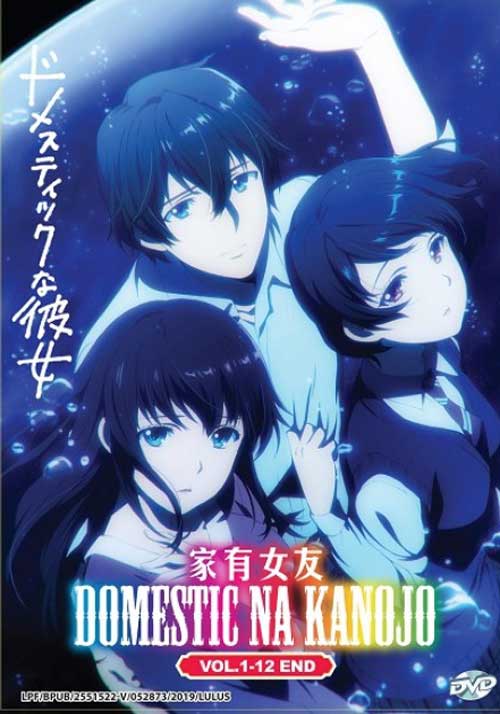 Domestic na Kanojo - Image 1