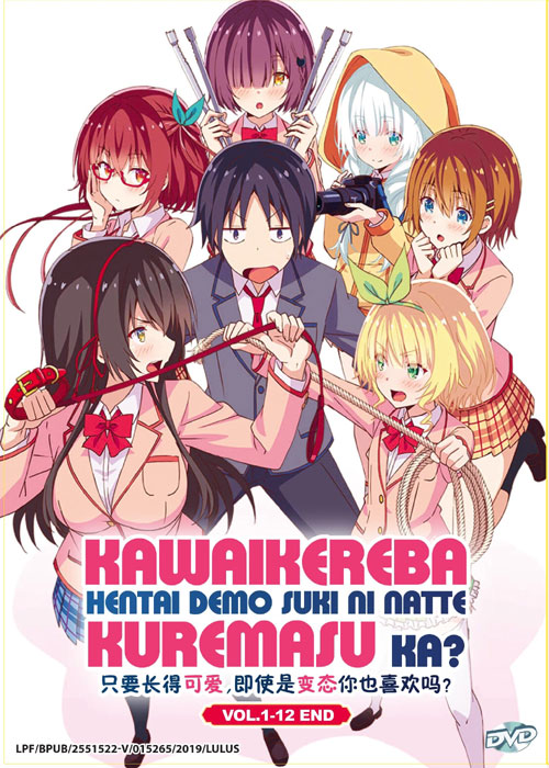 Kawaikereba Hentai demo Suki ni Natte Kuremasu ka? - Image 1