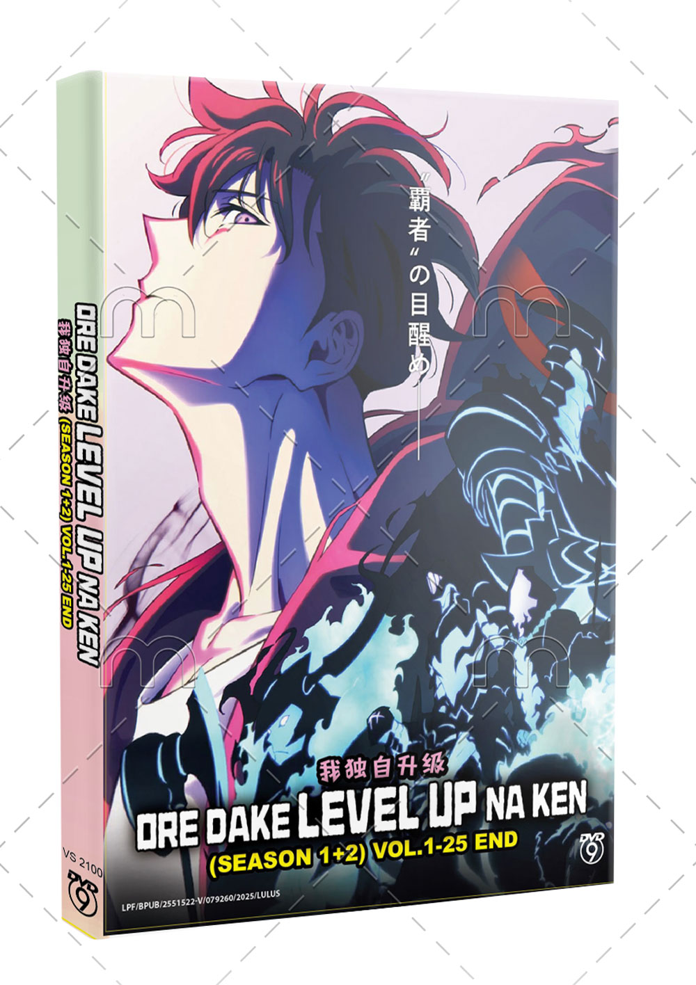 Ore dake Level Up na Ke Season 1+2 - Image 1