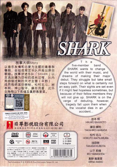 Shark - Image 2