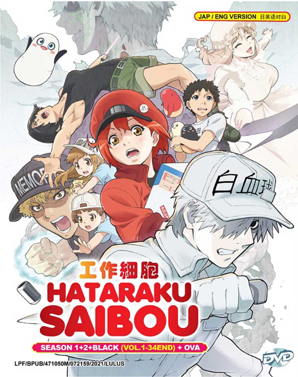 Hataraku Saibou Season 1+2+Black +OVA - Image 2