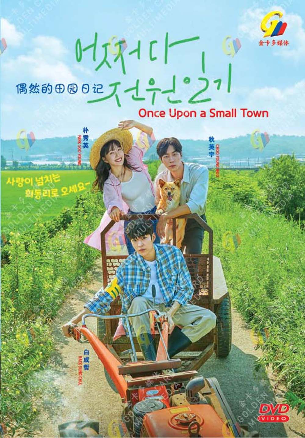 Once Upon a Small Town - Image 2