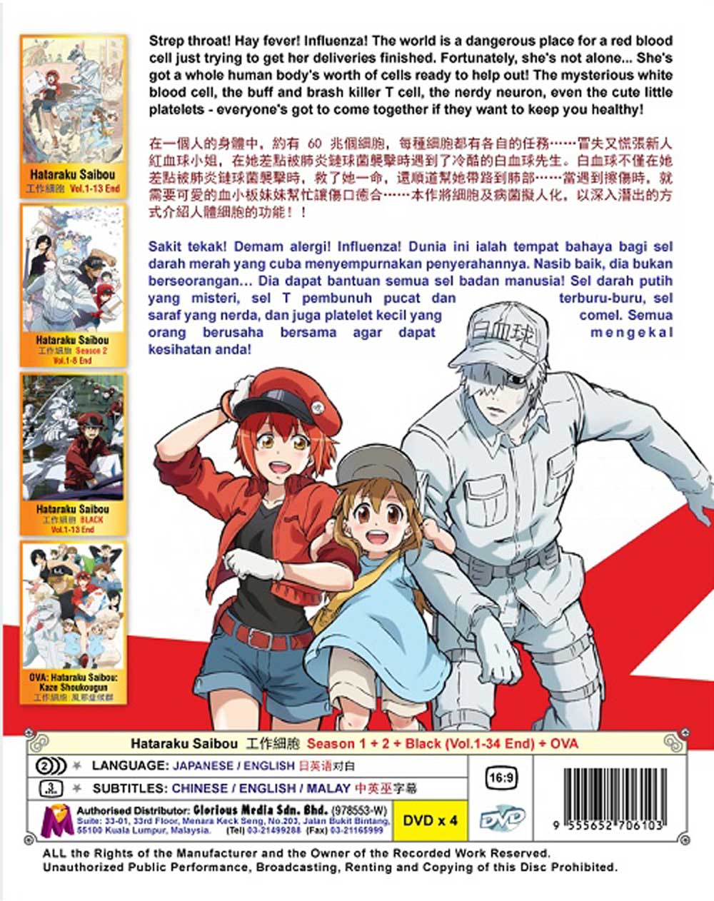 Hataraku Saibou Season 1+2+Black +OVA - Image 3