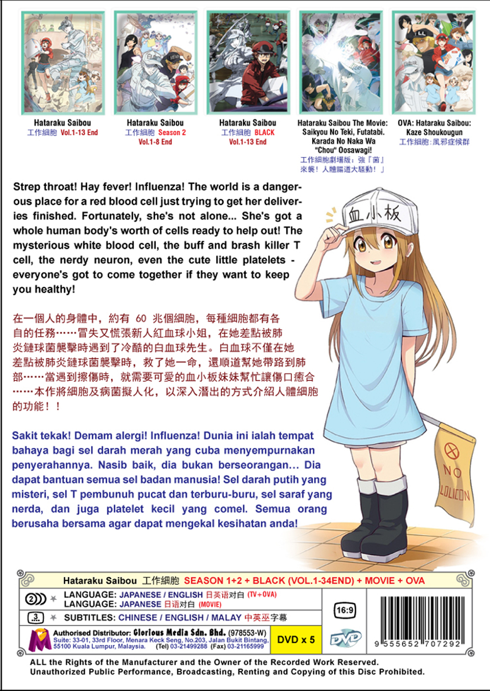 Hataraku Saibou Season 1+2+Black +OVA+ Movie - Image 3