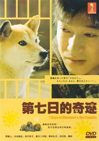 7 Days of Himawari & Her Puppies Japanese Movie DVD (2013) English Sub