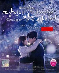 While You Were Sleeping Korean Drama DVD (2017) Complete Box Set English Sub