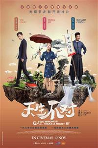 Two Wrongs Make A Right Hong Kong Movie DVD (2017) English Sub