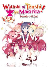 Watashi ni Tenshi ga Maiorita! Anime DVD (2019) Complete Box Set English Sub