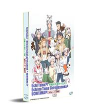 Uchi Tama?! Uchi no Tama Shirimasen ka? Japanese Anime DVD (2020) Complete Box Set English Sub