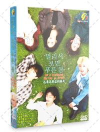 At a Distance, Spring Is Green Korean Drama DVD (2021) Complete Box Set English Sub