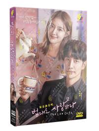 The Law Cafe Korean Drama DVD (2022) Complete Box Set English Sub