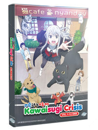 Kawaisugi Crisis Anime DVD (2023) Complete Box Set English Sub