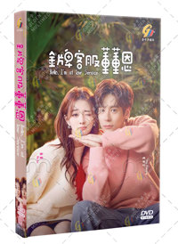 Hello, I'm at Your Service China Drama DVD (2023) Complete Box Set English Sub