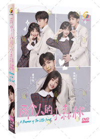 Special Lady China Drama DVD (2023) Complete Box Set English Sub