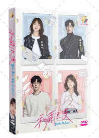 You Are My Secret Hong Kong Drama DVD (2024) Complete Box Set English Sub