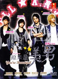 Ikemen desu ne aka You are Beautiful Japanese Drama DVD (2011) Complete Box Set English Sub